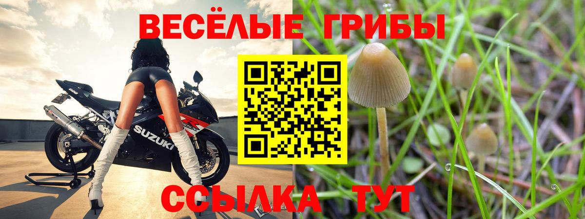 Галлюциногенные грибы Magic Shrooms Каспийск